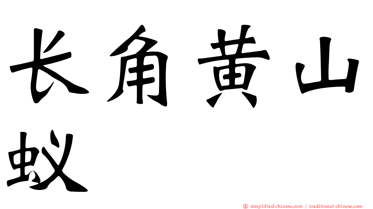 长角黄山蚁