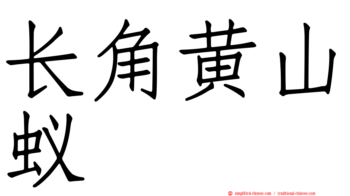 长角黄山蚁