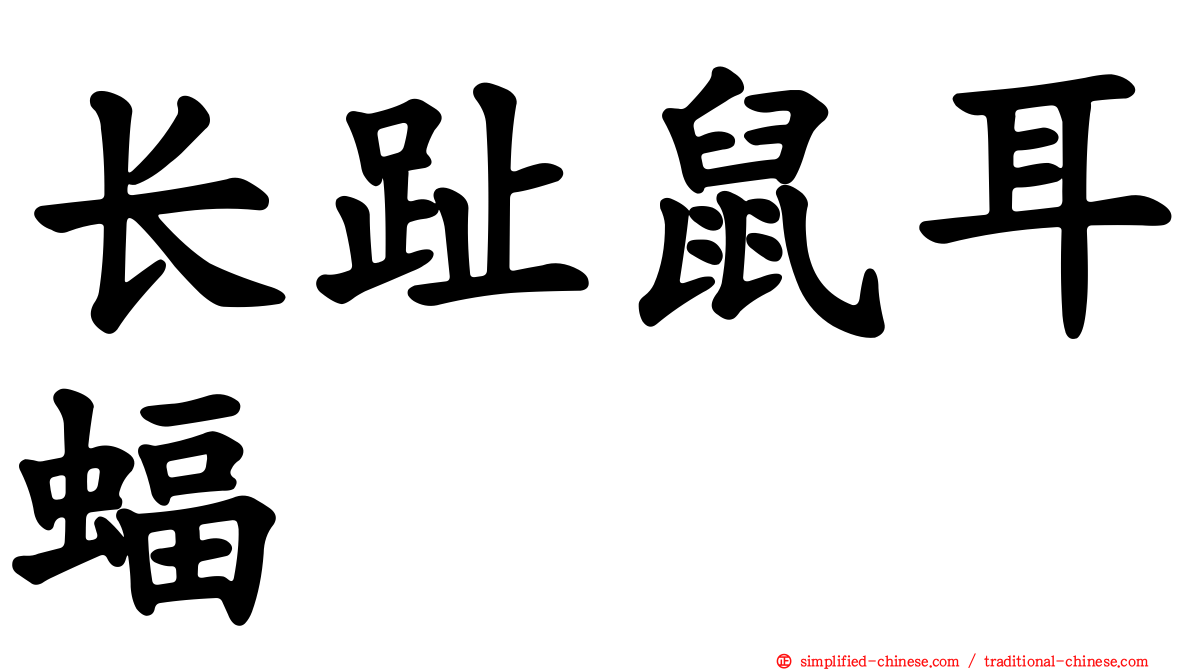 长趾鼠耳蝠