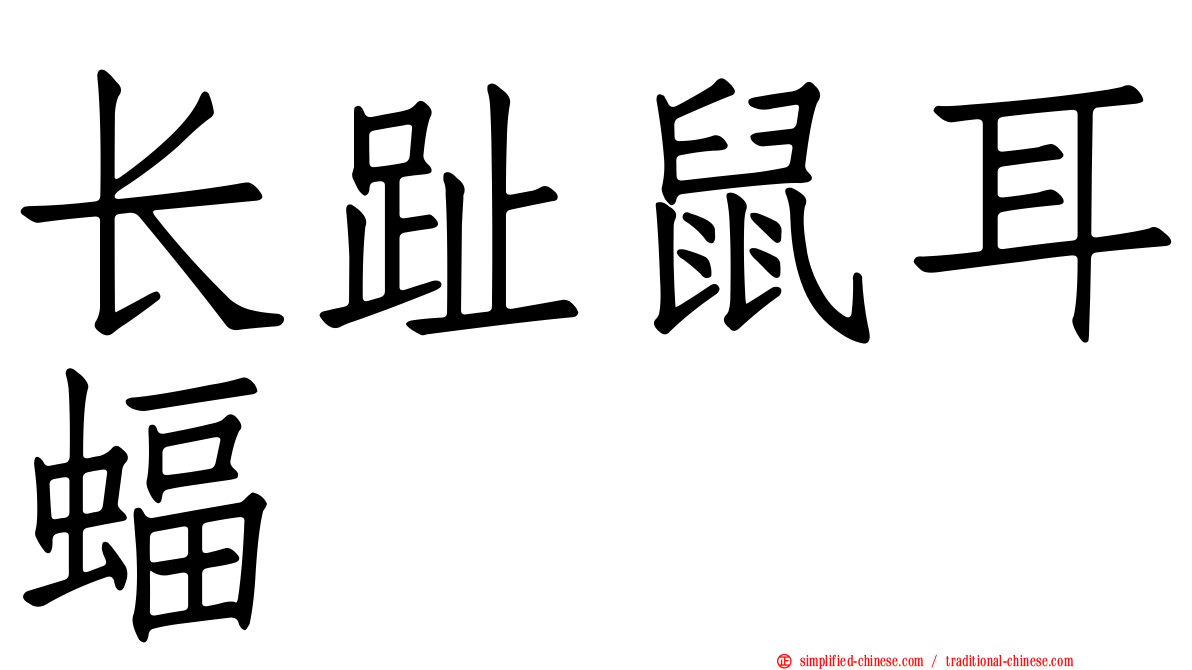 长趾鼠耳蝠