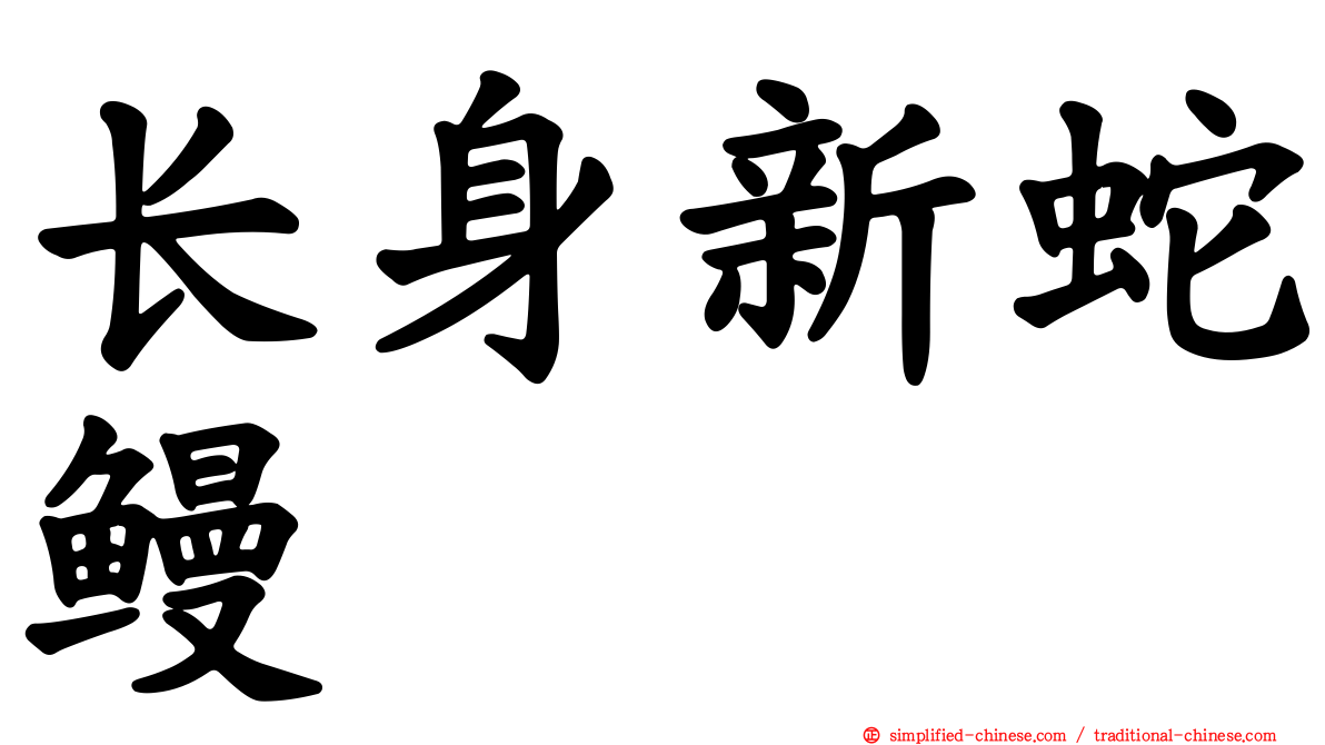 长身新蛇鳗