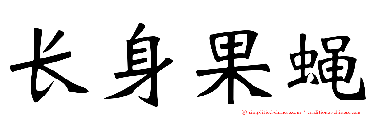 长身果蝇
