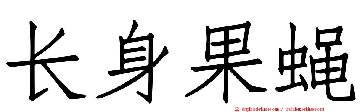 长身果蝇