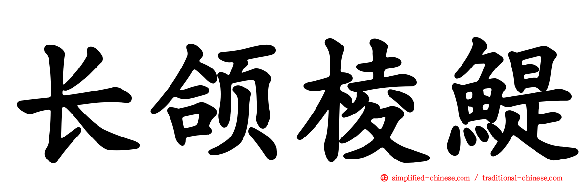 长颌棱鳀
