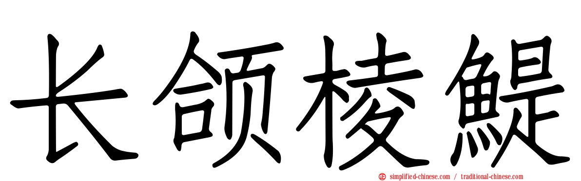 长颌棱鳀