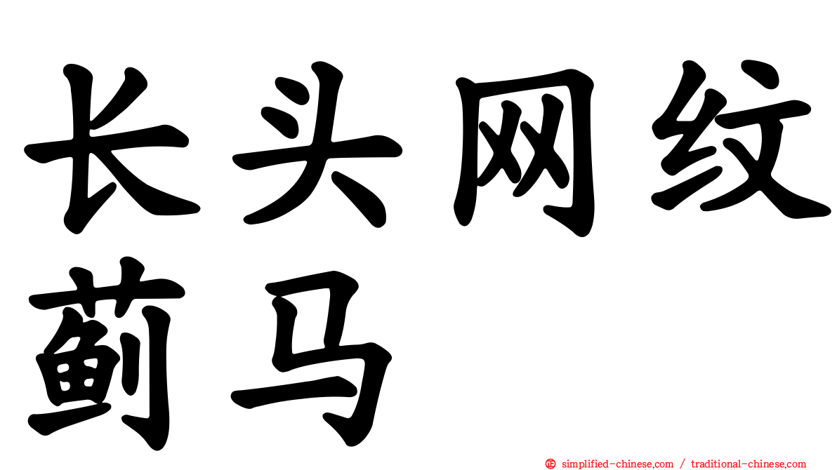 长头网纹蓟马