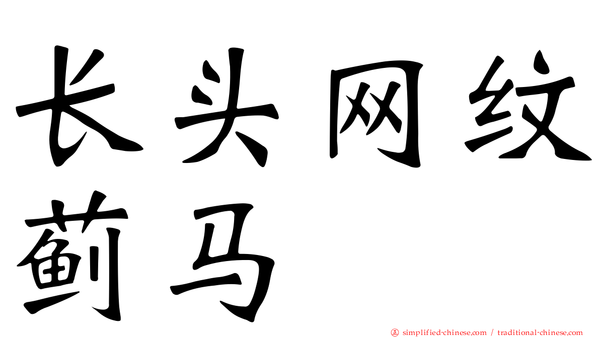 长头网纹蓟马