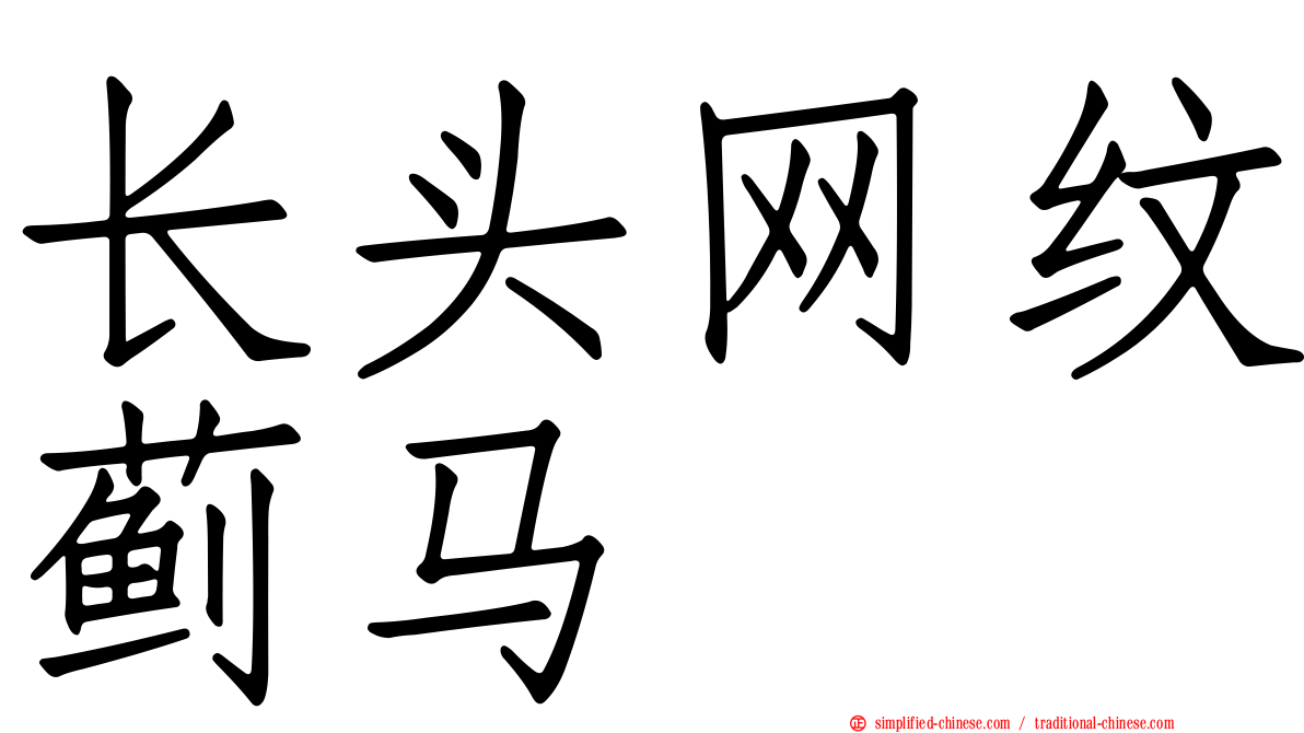 长头网纹蓟马
