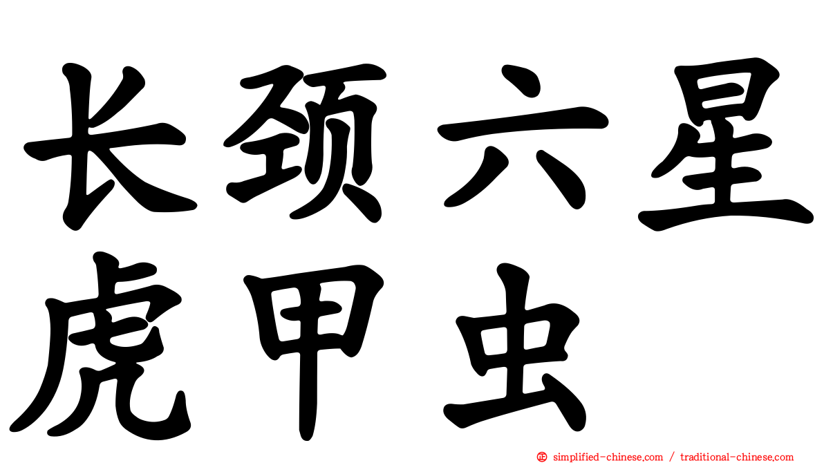 长颈六星虎甲虫