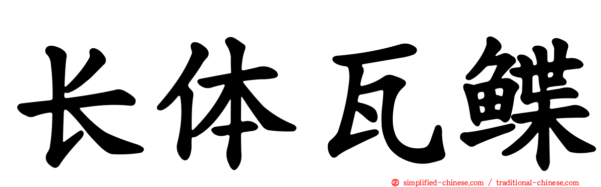 长体瓦鲽