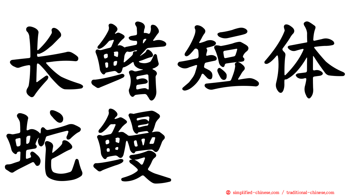 长鳍短体蛇鳗