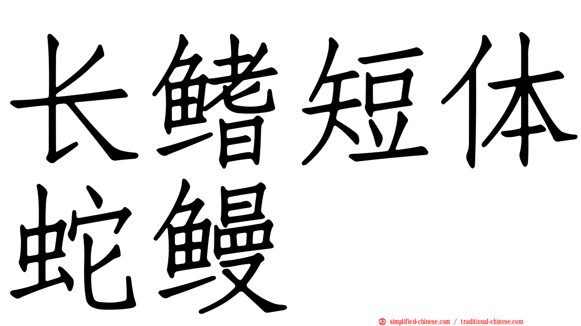长鳍短体蛇鳗
