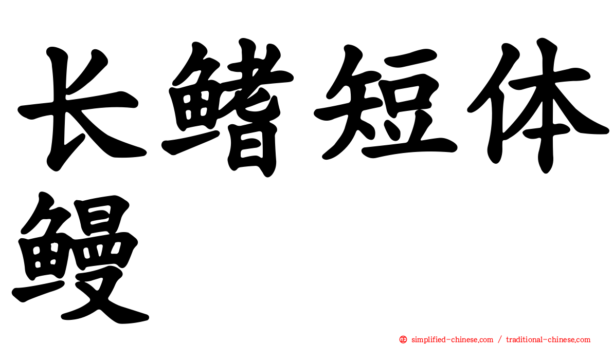 长鳍短体鳗