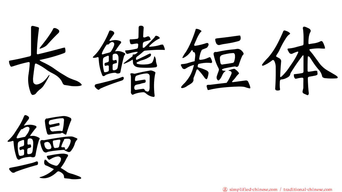 长鳍短体鳗