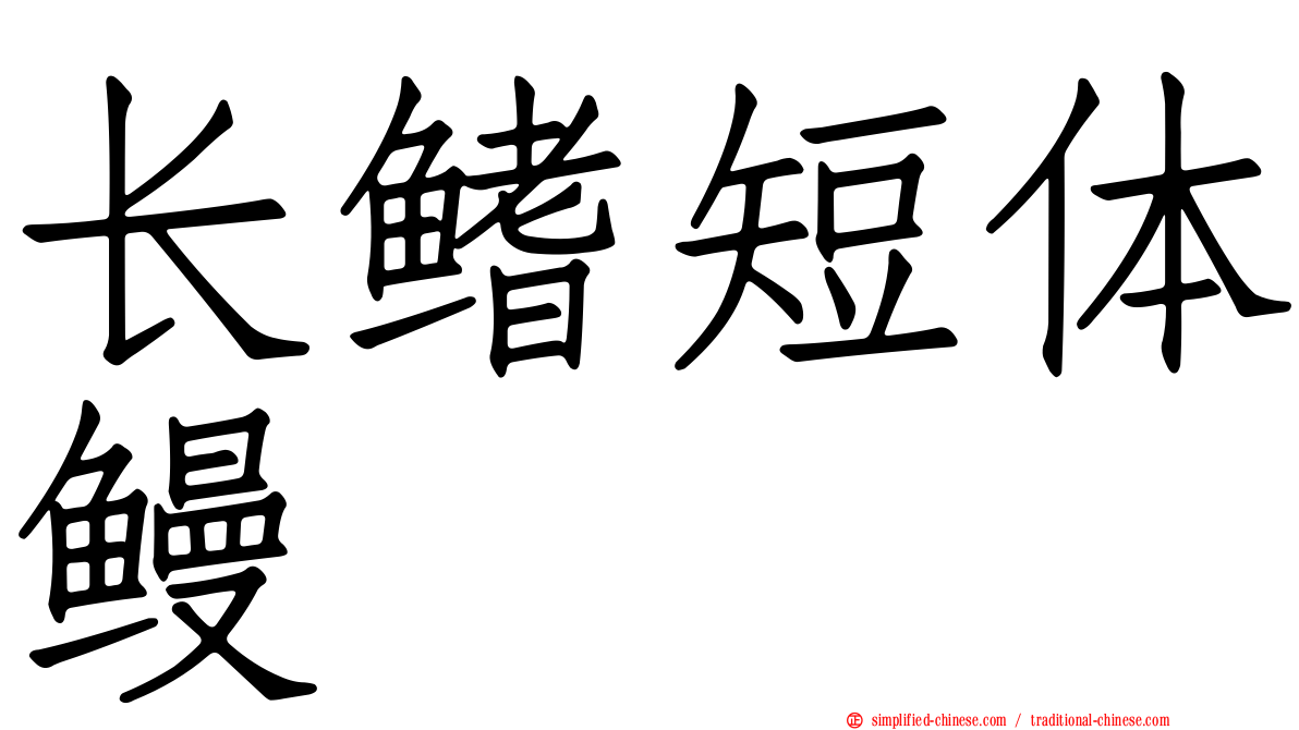长鳍短体鳗