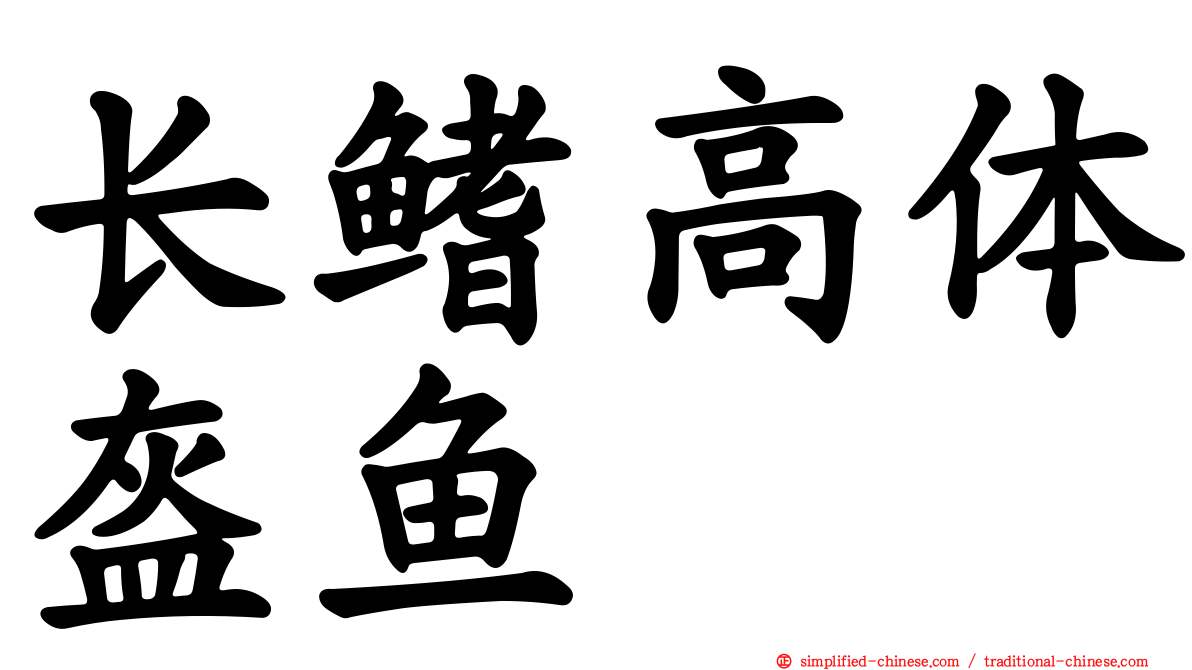 长鳍高体盔鱼