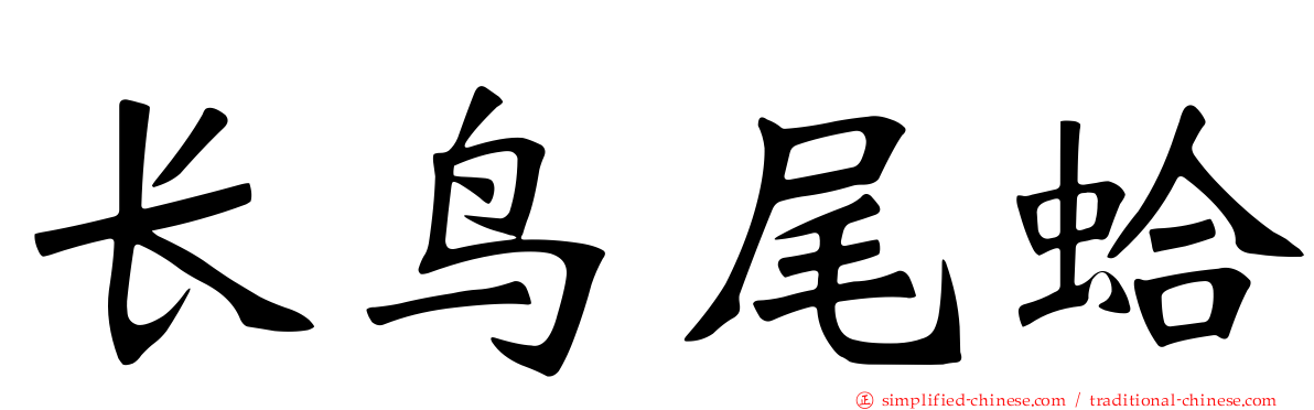 长鸟尾蛤