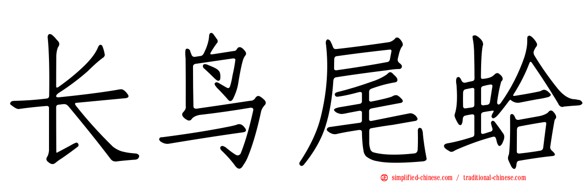 长鸟尾蛤