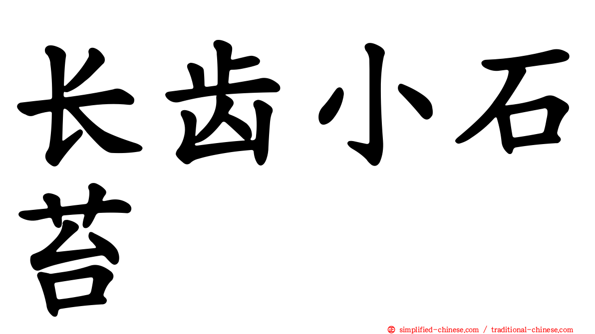 长齿小石苔