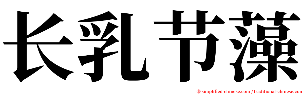 长乳节藻 serif font