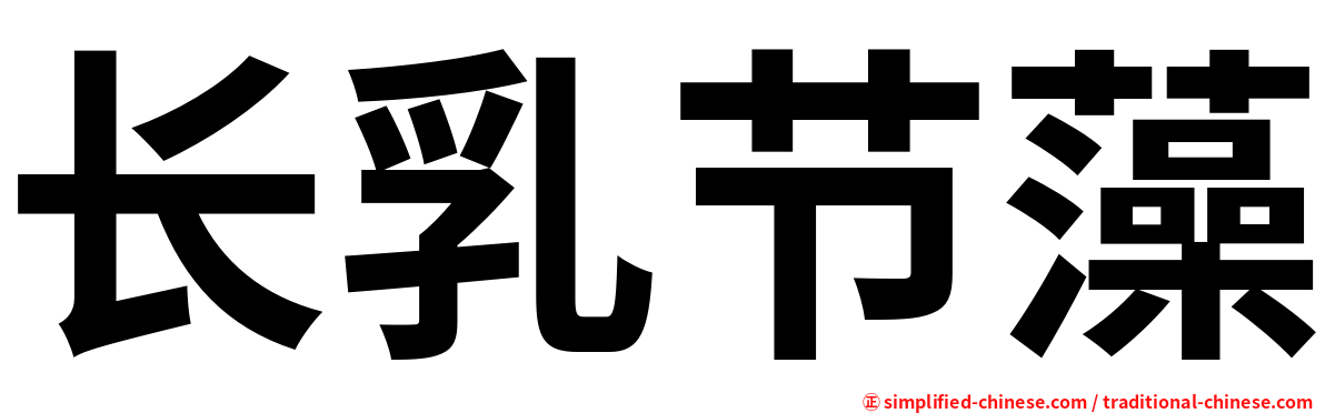 长乳节藻