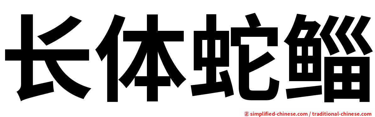 长体蛇鲻