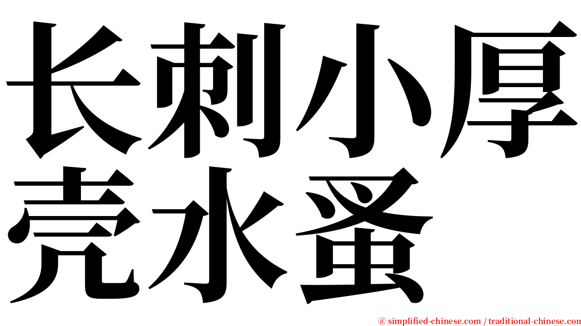 长刺小厚壳水蚤 serif font