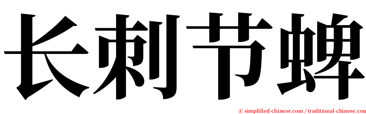 长刺节蜱 serif font