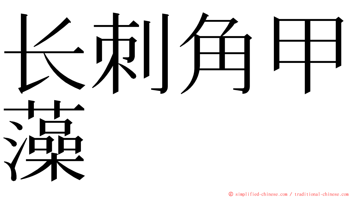 长刺角甲藻 ming font