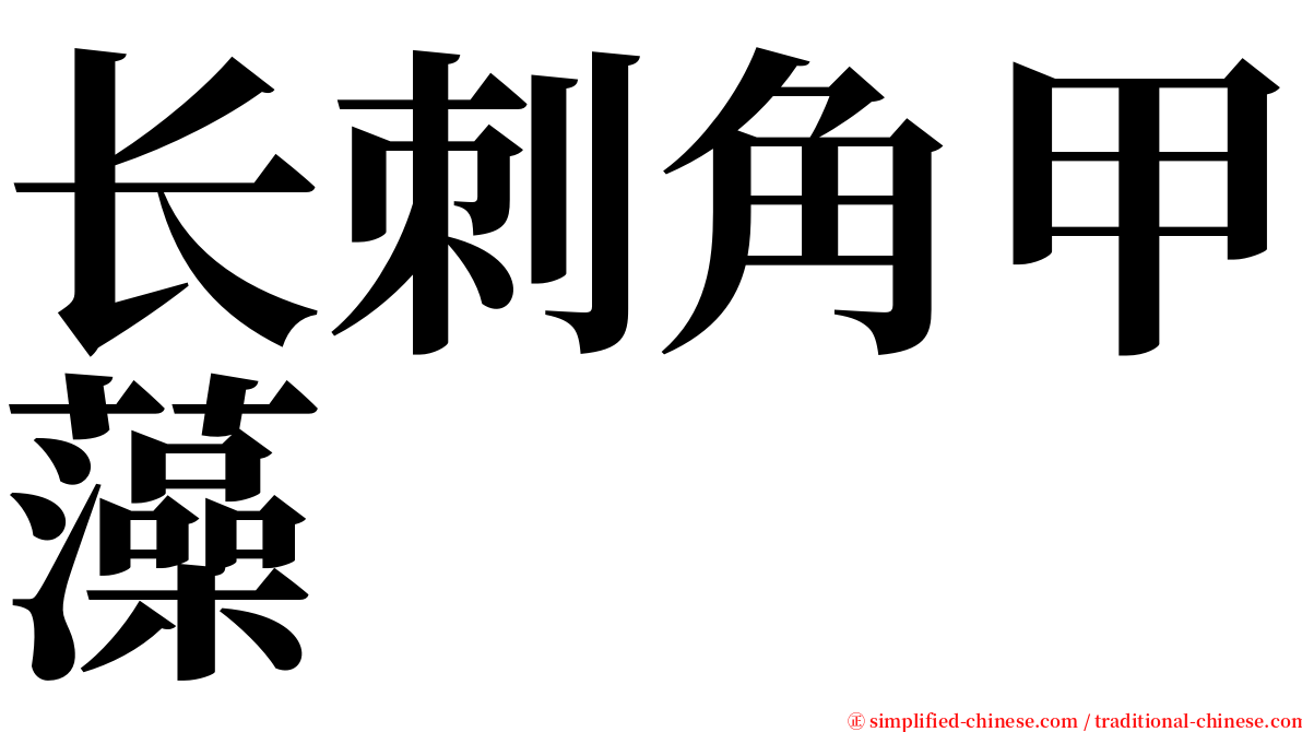 长刺角甲藻 serif font