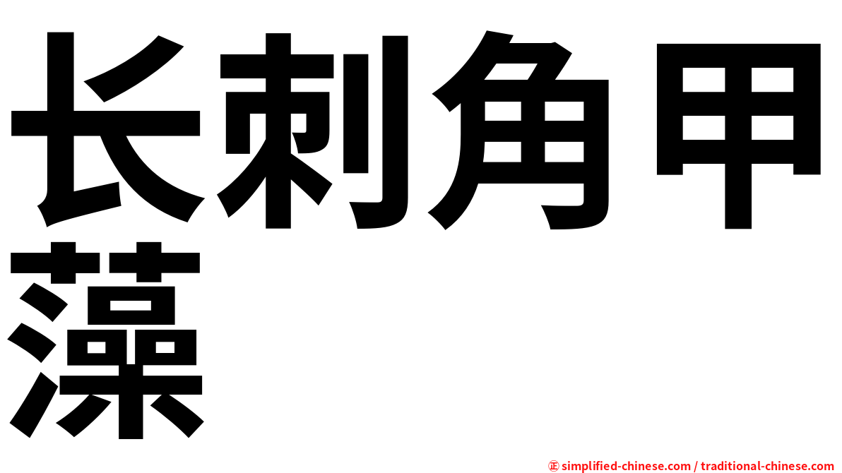 长刺角甲藻