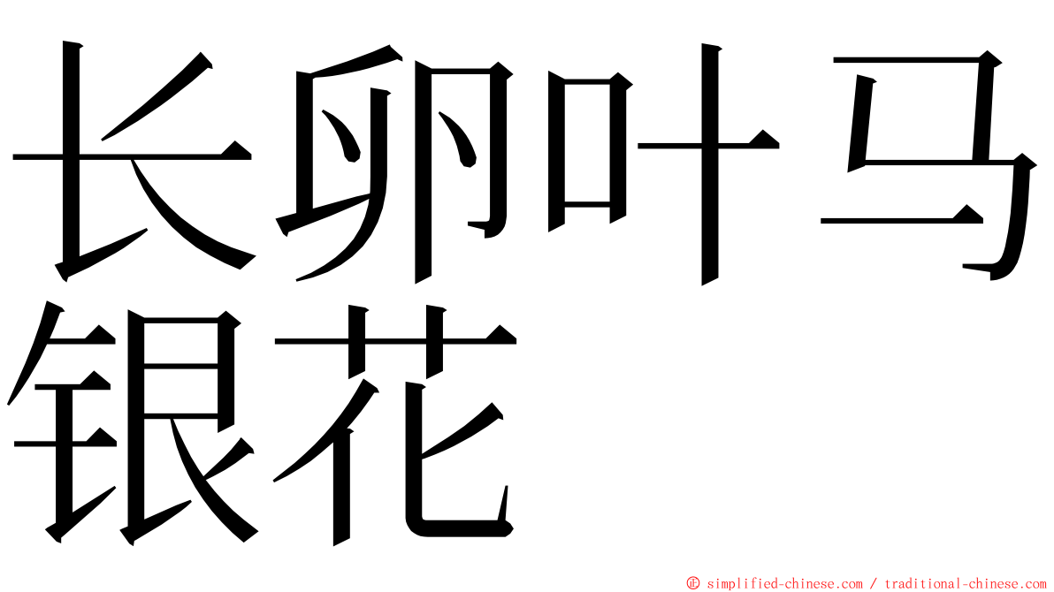 长卵叶马银花 ming font