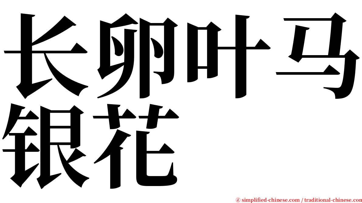 长卵叶马银花 serif font