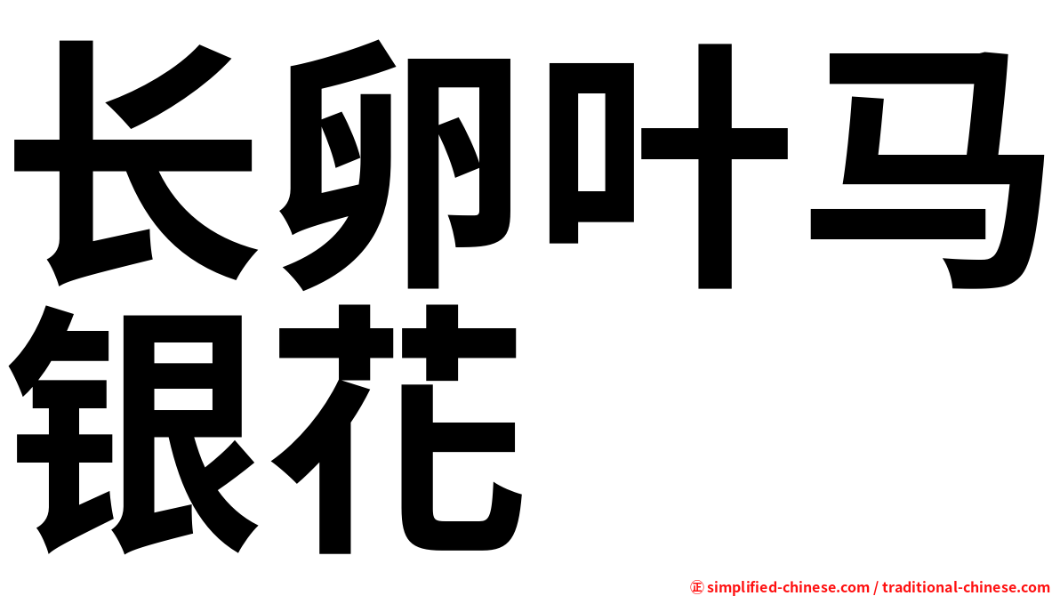 长卵叶马银花