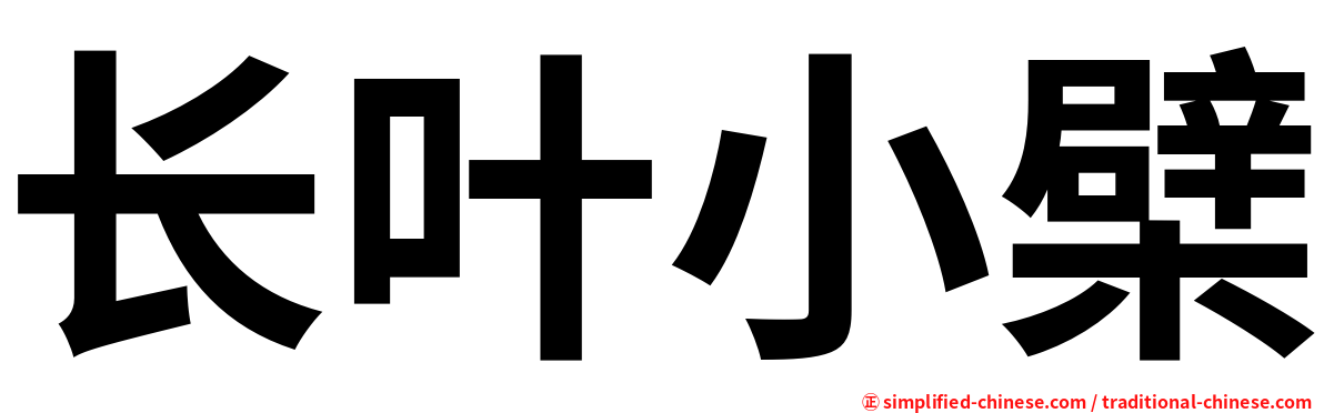 长叶小檗
