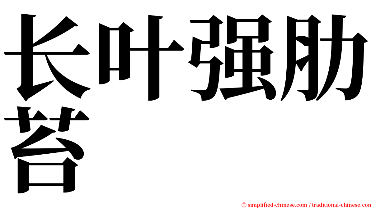 长叶强肋苔 serif font