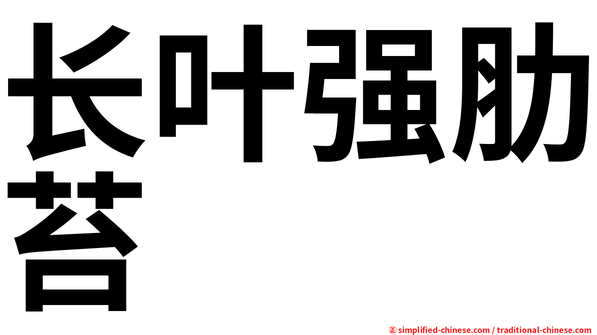 长叶强肋苔