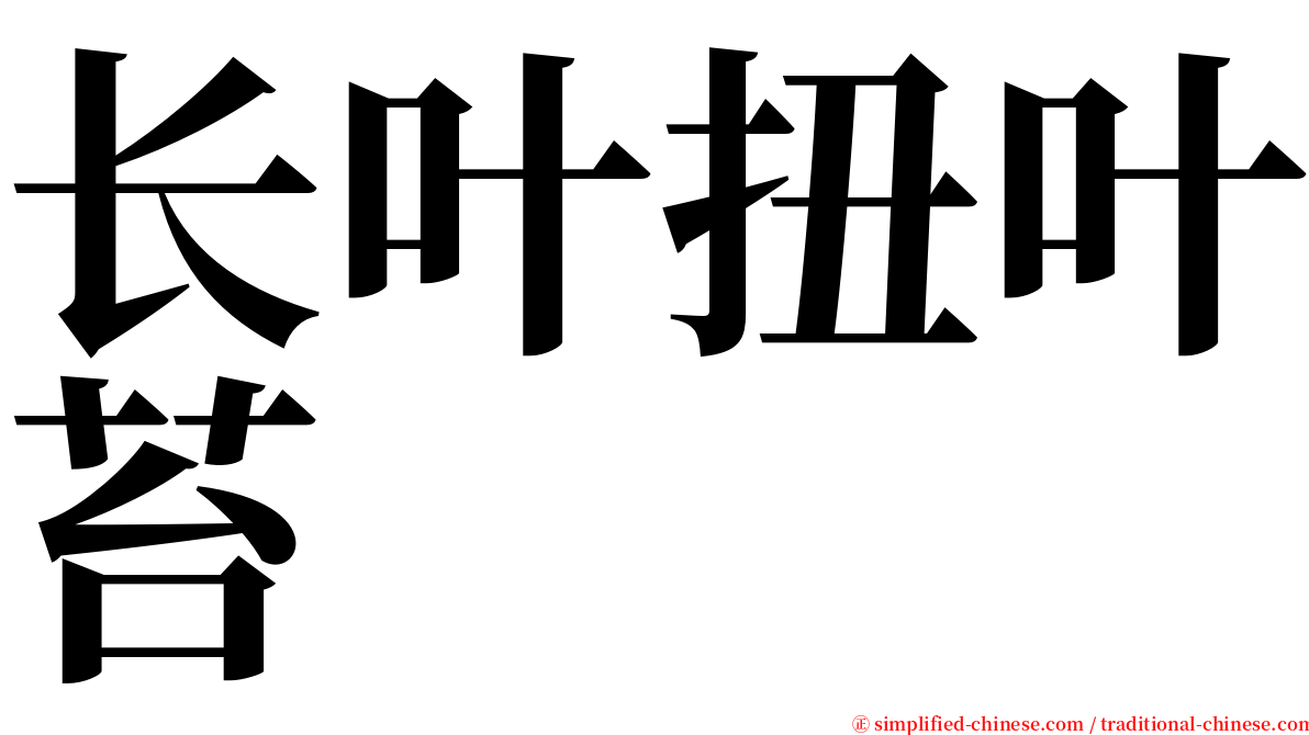 长叶扭叶苔 serif font
