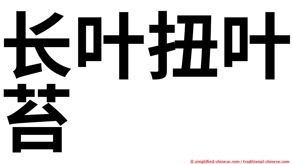 长叶扭叶苔