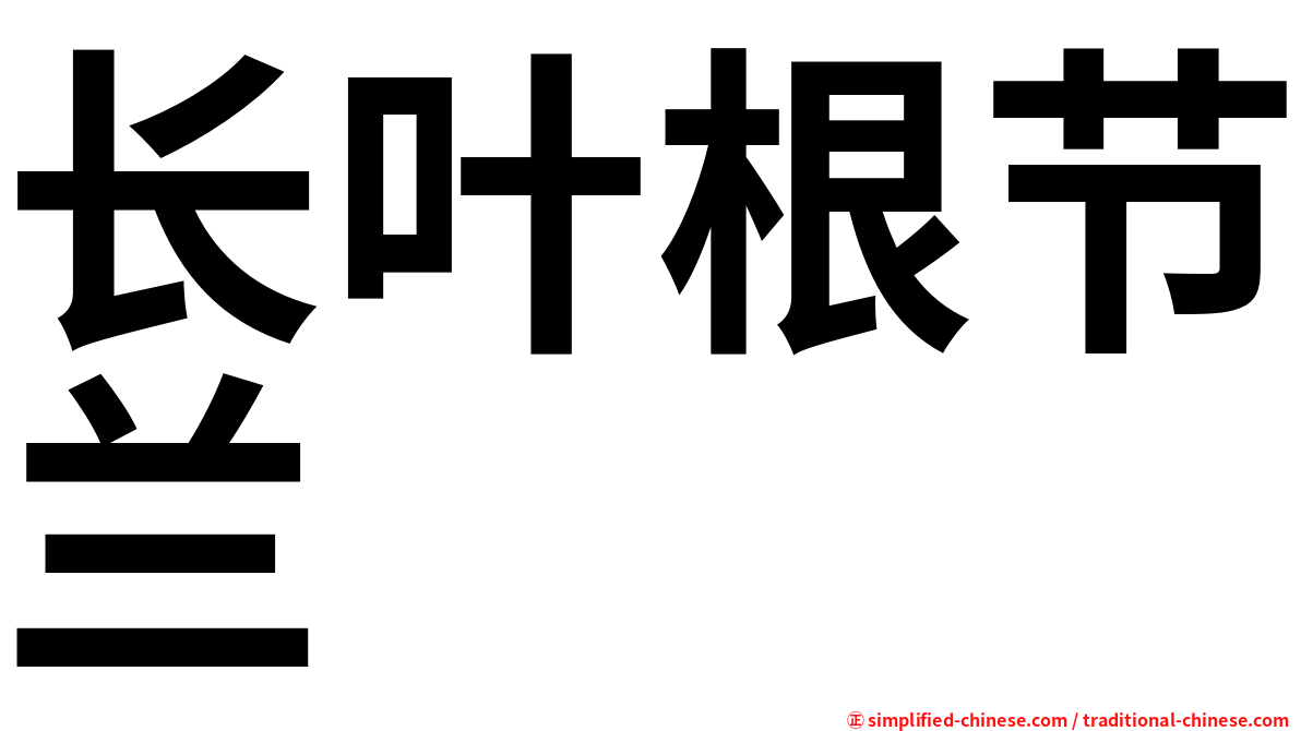 长叶根节兰