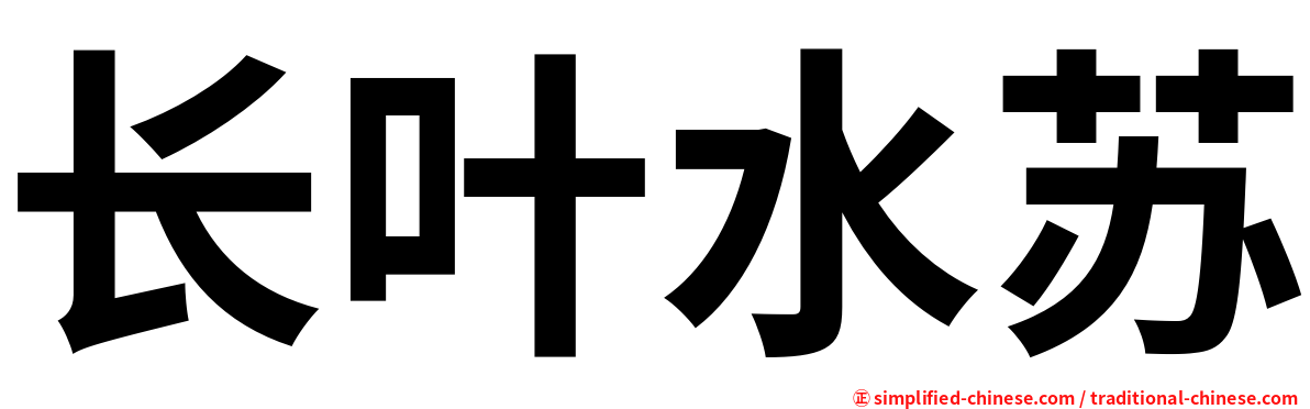 长叶水苏