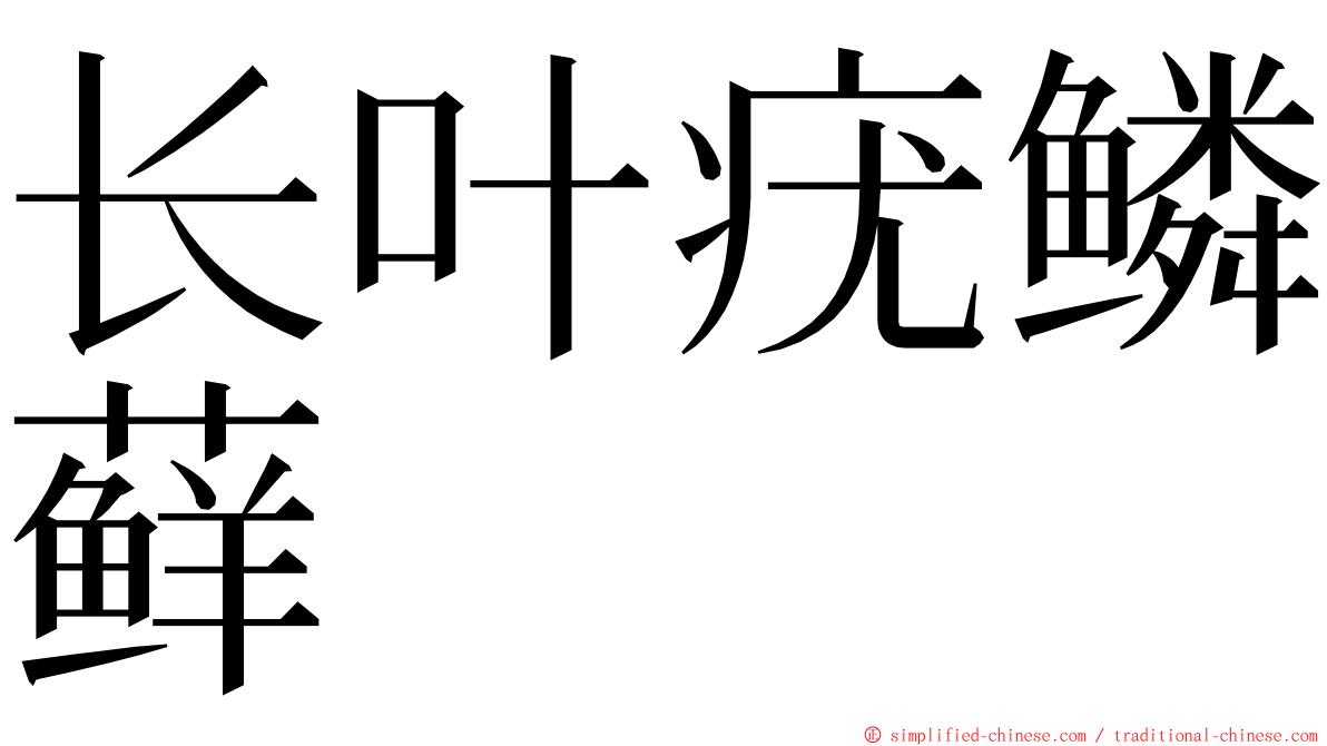 长叶疣鳞藓 ming font