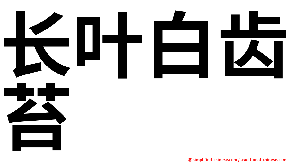 长叶白齿苔