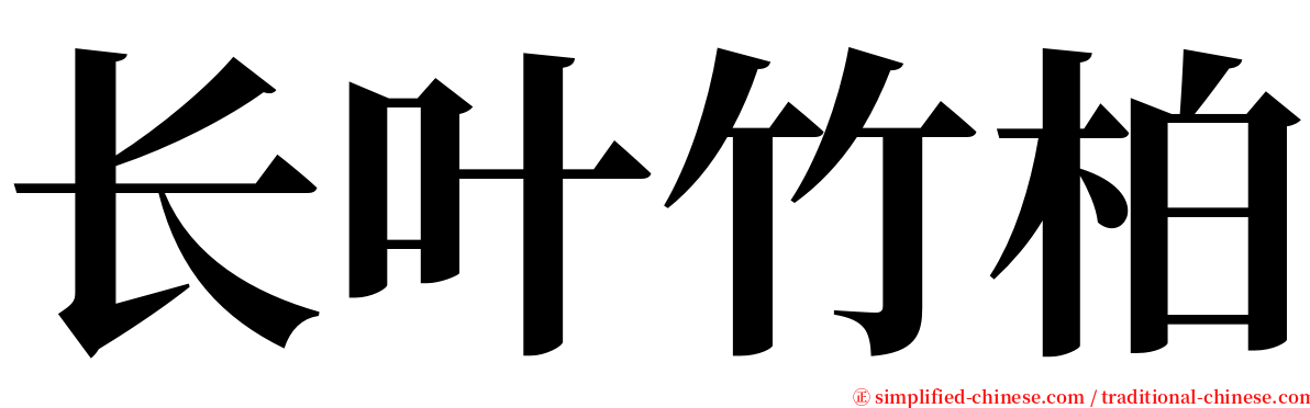 长叶竹柏 serif font