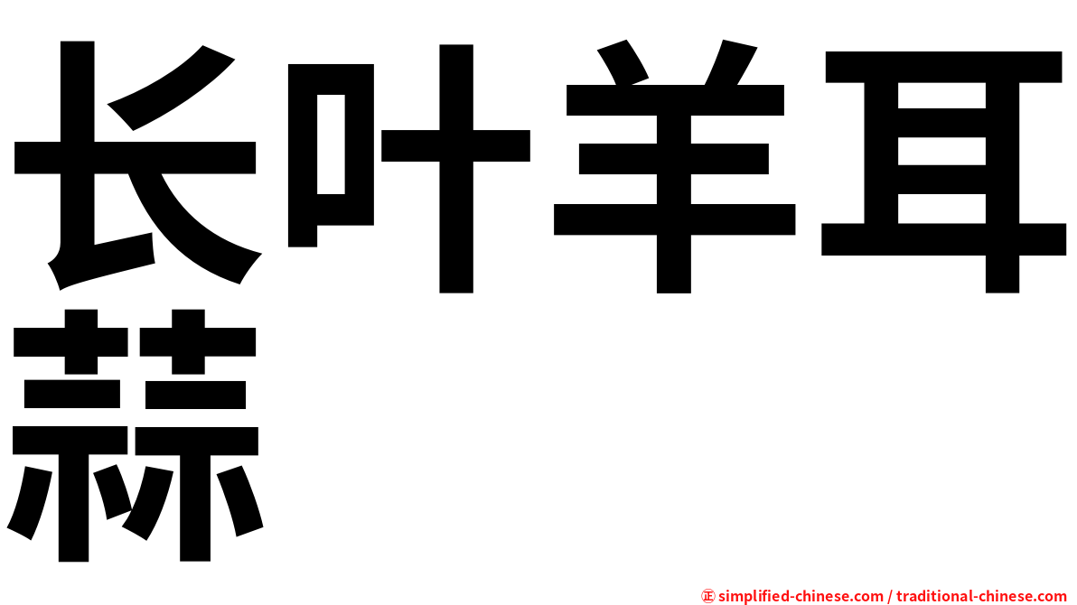 长叶羊耳蒜