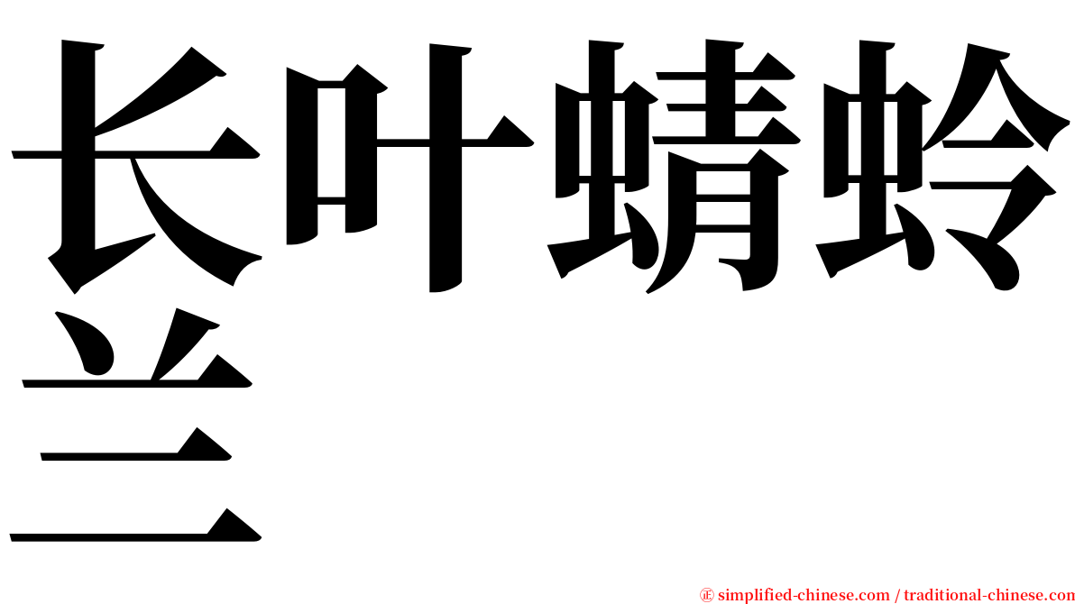 长叶蜻蛉兰 serif font