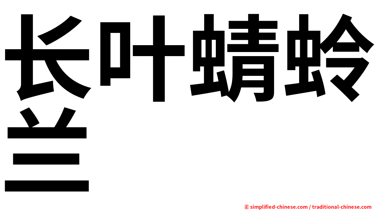 长叶蜻蛉兰