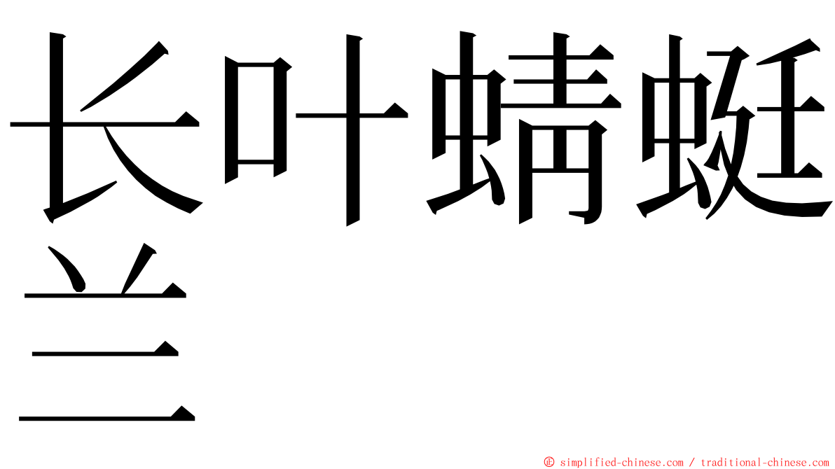长叶蜻蜓兰 ming font
