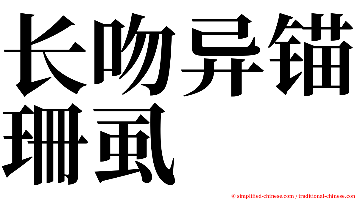 长吻异锚珊虱 serif font