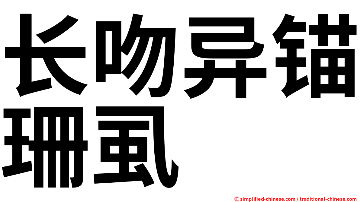 长吻异锚珊虱